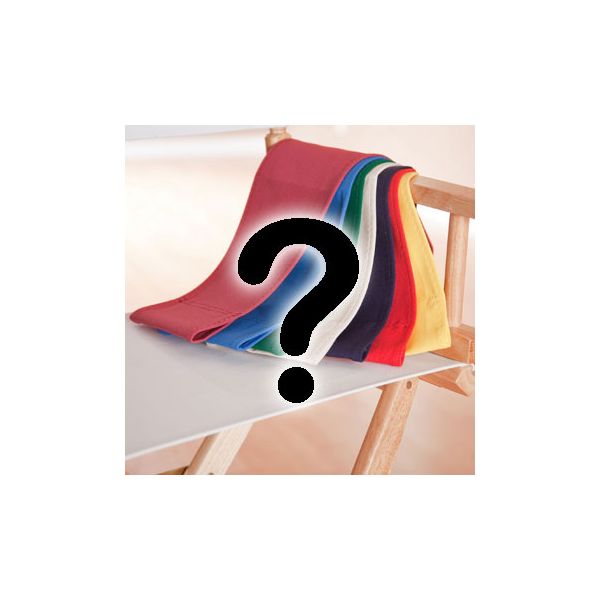 Custom directors chair covers online